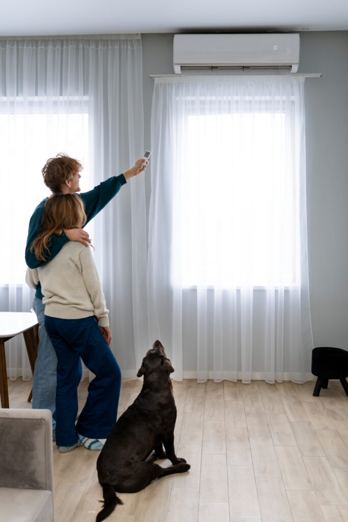 Confort à la maison avec une climatisation réversible